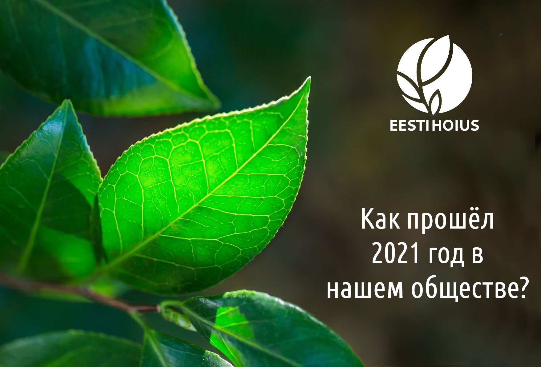Как прошёл 2021 год в кредитно-сберегательном обществе EESTI HOIUS?