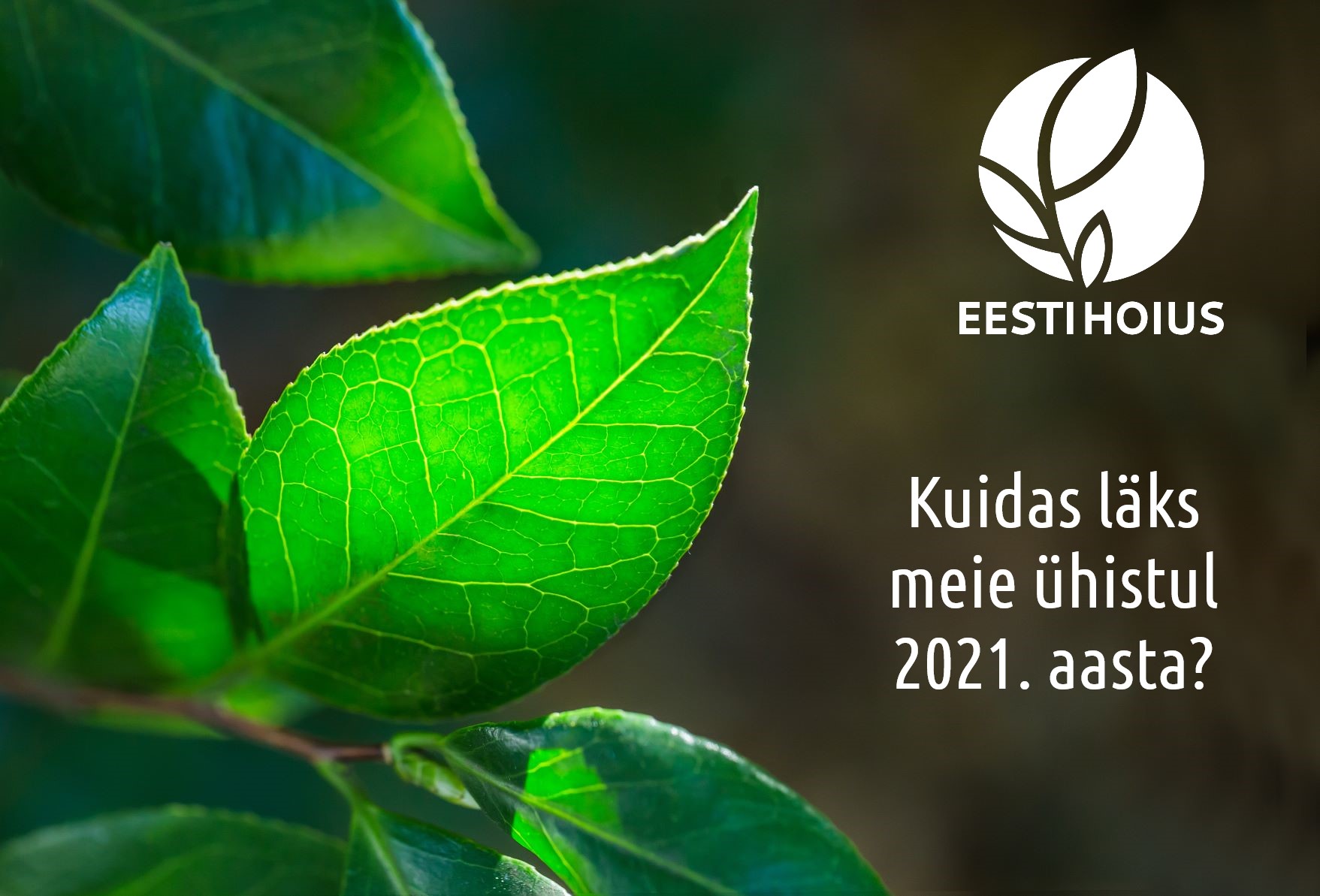 Kuidas läks meie ühistus 2021. aasta?